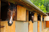free Stretton Under Fosse stable construction quotes